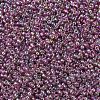 MIYUKI Round Rocailles Beads SEED-JP0008-RR0256D-3