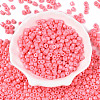 Opaque Baking Paint Glass Seed Beads SEED-T008-02H-2