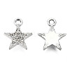 Platinum Plated Alloy Charms PALLOY-T073-06P-03-RS-1