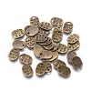 Tibetan Style Alloy Oval Charms LS-TIBEP-Q035-08AB-NR-1