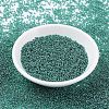 MIYUKI Round Rocailles Beads X-SEED-G007-RR0322-2