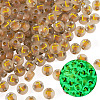 50G Luminous Transparent Acrylic Beads OACR-TAD0001-01L-3