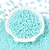 Opaque Baking Paint Glass Seed Beads SEED-T008-02N-2