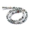 Natural Tree Agate Bead Strands G-R412-25-6mm-2