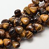 Natural Tiger Eye Teardrop Beads G-P094-03-1