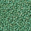 MIYUKI Delica Beads Small X-SEED-J020-DBS0877-3