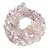 Natural Amethyst Beads Strands G-P497-01E-60-3
