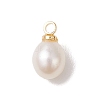 Natural Freshwater Pearl Rice Charms PALLOY-JF04858-01-3