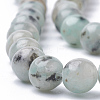 Natural Sesame Jasper/Kiwi Jasper Beads Strands G-S295-14-8mm-3