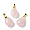 Natural Rose Quartz Pendants G-Q005-02G-06-1