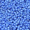 Glass Seed Beads SEED-A010-3mm-43B-3