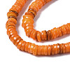 Natural Freshwater Shell Beads Strands SHEL-S278-025I-3