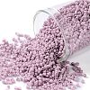 TOHO Round Seed Beads SEED-JPTR15-0766-1