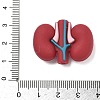 Silicone Beads SIL-I014-03C-3