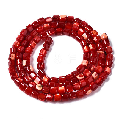 Natural Trochid Shell/Trochus Shell Bead Strands SSHEL-N034-77-C02-1