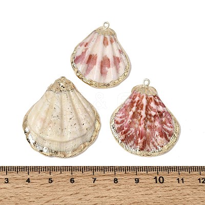 Brass & Natural Shell Pendants SH-CBA27C9-10-1