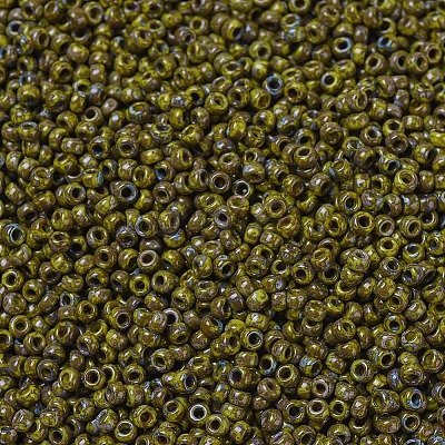 MIYUKI Round Rocailles Beads SEED-G010-RR4519-1