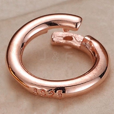 925 Sterling Silver Twister Clasps LS-STER-WH0008-84B-RG-1