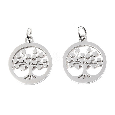 304 Stainless Steel Pendants STAS-T046-JA350-1A-P-1