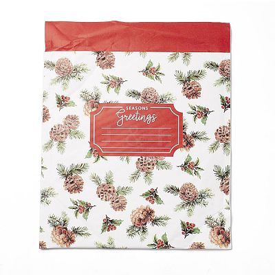 Kraft Paper & Plastic Bubble Envelope Bags CARB-D013-02B-05-1