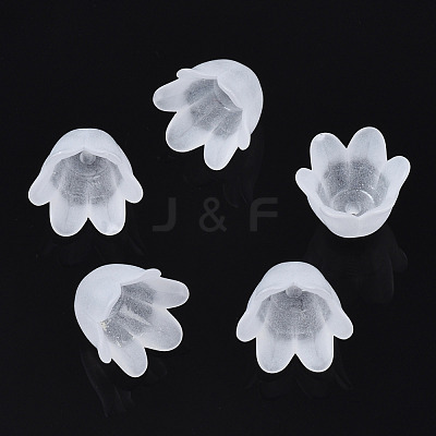 Transparent Acrylic Bead Caps FACR-N005-002-1