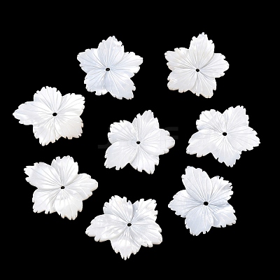 Natural White Shell Carved Beads SSHEL-B006-06-1