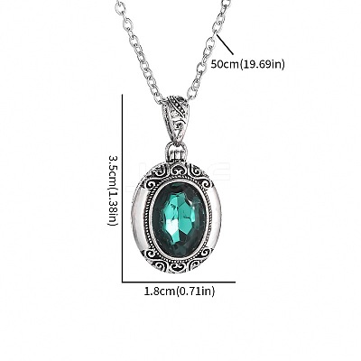 Alloy Acrylic Oval Photo Locket Pendant Necklaces for Women WGC3FDF-01-1