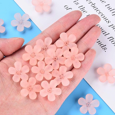Transparent Acrylic Beads MACR-S373-116-D10-1