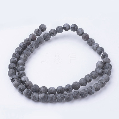 Natural Black Larvikite Bead Strands G-G735-57F-6mm-1