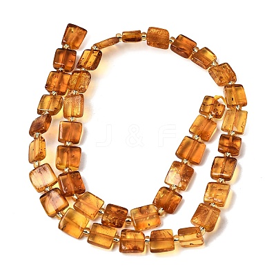 Natural Amber Beads Strands G-C260-A01-06-1