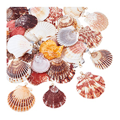 32Pcs 4 Style Natural Shell Pendant PALLOY-PH01861-1