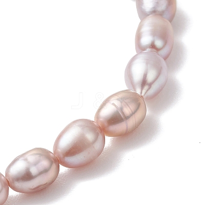 Natural Cultured Freshwater Pearl Beads Stretch Bracelets for Women BJEW-JB13210-02-1