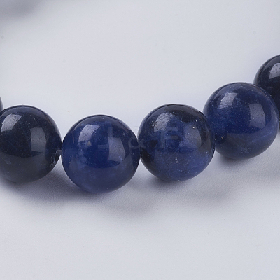Natural Sodalite Beads Strands X-G-G515-10mm-07-1