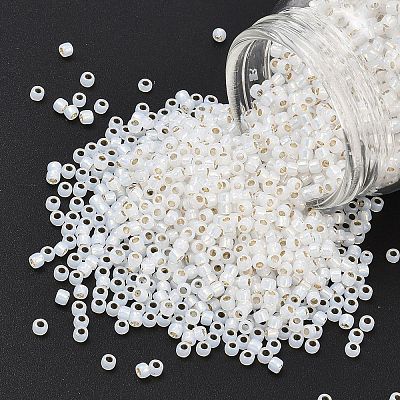 TOHO 8/0 Round Beads X-SEED-TR08-2100-1