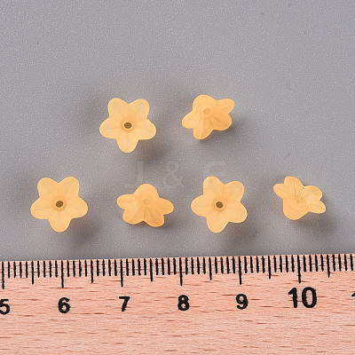 Transparent Acrylic Beads PL554-07-1