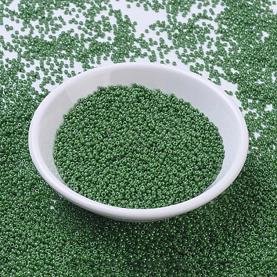 MIYUKI Round Rocailles Beads X-SEED-G007-RR0431-1