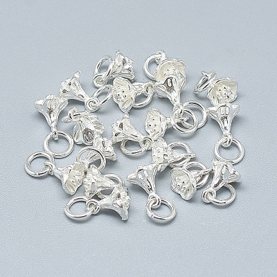 925 Sterling Silver Charms STER-T002-49S-1