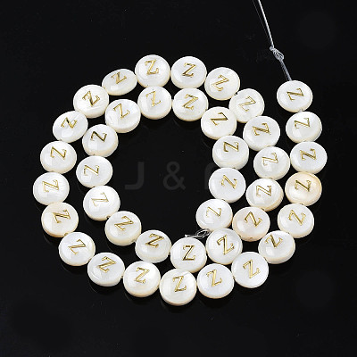 Natural Freshwater Shell Beads SHEL-S276-168Z-1