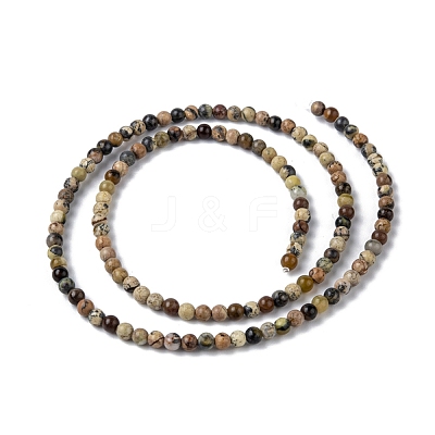 Natural Assorted Gemstone Bead Strands G-K146-M-3mm-1