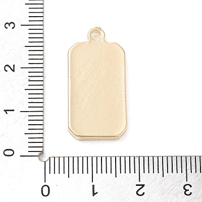 Tarot Alloy Enamel Pendants FIND-Z057-02G-02-1