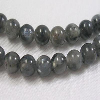Natural Larvikite Beads Strands X-GSR4mmC128-1