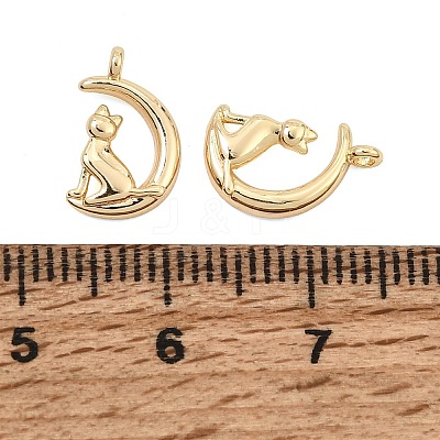 304 Stainless Steel Charms SA-CBA7611-01G-1