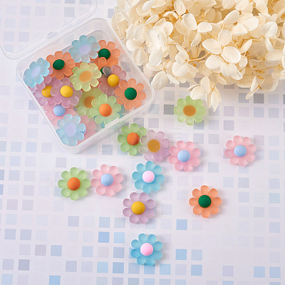 Resin Frosted Cabochons RESI-TA0001-26-1