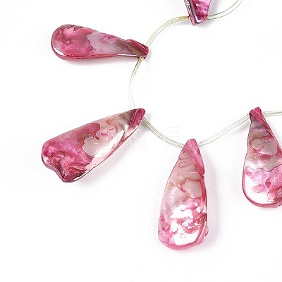 AB Color Plated Dyed Natural Freshwater Shell Beads Strands X-SHEL-T020-55A-1