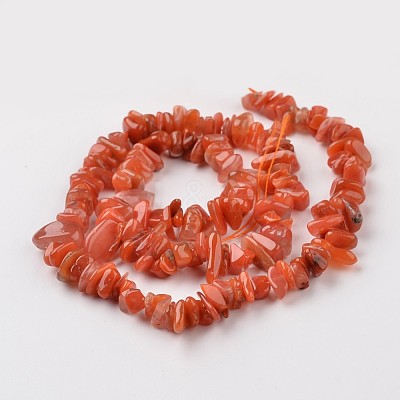 Chip Natural South Red Agate Bead Strands G-M349-08-1