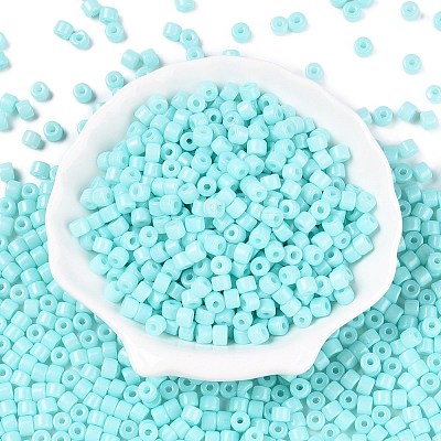 Opaque Baking Paint Glass Seed Beads SEED-T008-02N-1