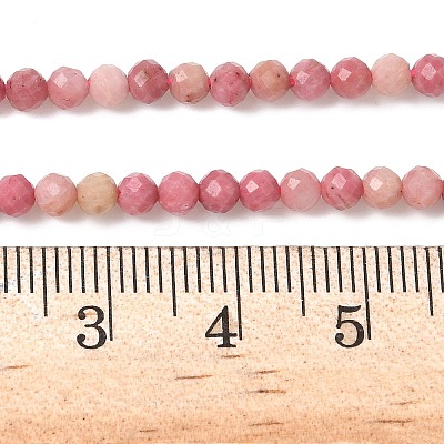 Natural Rhodonite Beads Strands X-G-P553-G06-02A-1