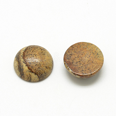 Natural Picture Jasper Cabochons G-R416-10mm-42-1