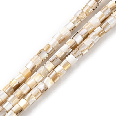 Natural Freshwater Shell Beads Strands X-SHEL-R129-05-1