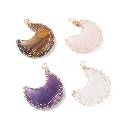 Natural Gemstone Pendants PALLOY-JF01421-1